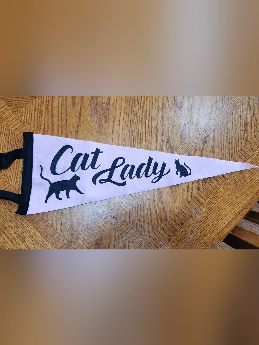 Cat Lady Pink Pet Banner with Black Script